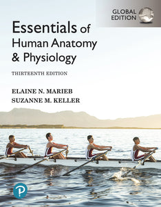 Omslag van "Essentials of Human Anatomy & Physiology, 13th edition" van Marieb en Keller, met daarop vier roeiers in een wedstrijdboot.