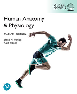 Omslag van "Human Anatomy & Physiology, 12th edition" van Marieb en Hoehn, met daarop een hardloper in volle sprint tegen een witte achtergrond.