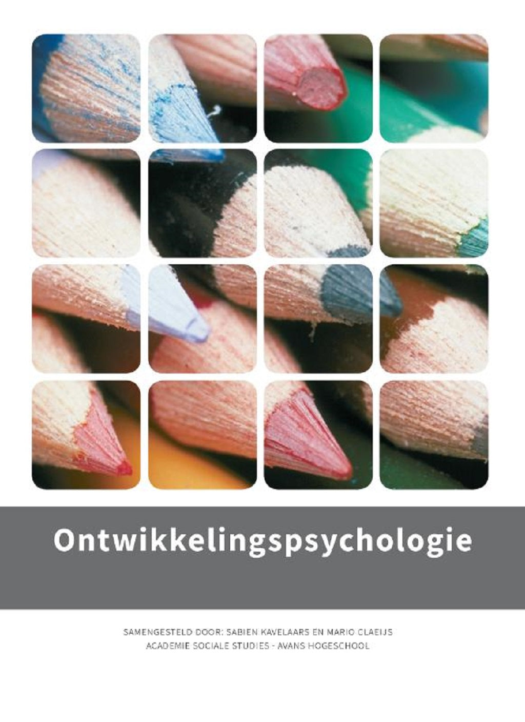 Ontwikkelingspsychologie, Avans Den Bosch, custom editie